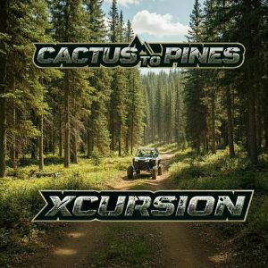 Cactus to Pines